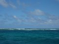 43_Mamora le reef